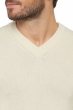 Cashmere kaschmir pullover herren dicke hippolyte 4f premium tenzin natural s