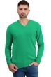 Cashmere kaschmir pullover herren dicke hippolyte 4f new green xl