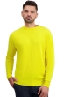 Cashmere kaschmir pullover herren die zeitlosen nestor jaune citric l