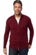 Cashmere kaschmir pullover herren gunstig thobias first deep violet l