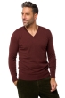 Cashmere kaschmir pullover herren gunstig tor first cinnabar l