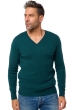 Cashmere kaschmir pullover herren gunstig tor first vert emeraude 2xl