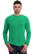 Cashmere kaschmir pullover herren taima new green 3xl