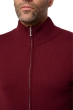 Cashmere kaschmir pullover herren thobias first deep violet m