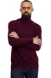 Cashmere kaschmir pullover herren torino first bordeaux l